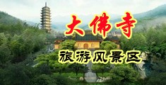 日韩大鸡巴色逼逼中国浙江-新昌大佛寺旅游风景区